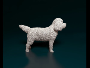 CockerPoo Model do druku 3D