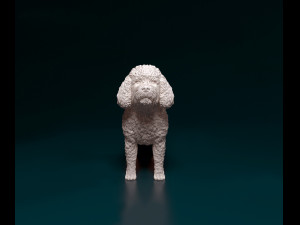 CockerPoo Model do druku 3D