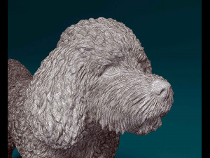 CockerPoo Model do druku 3D