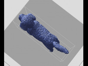CockerPoo Model do druku 3D
