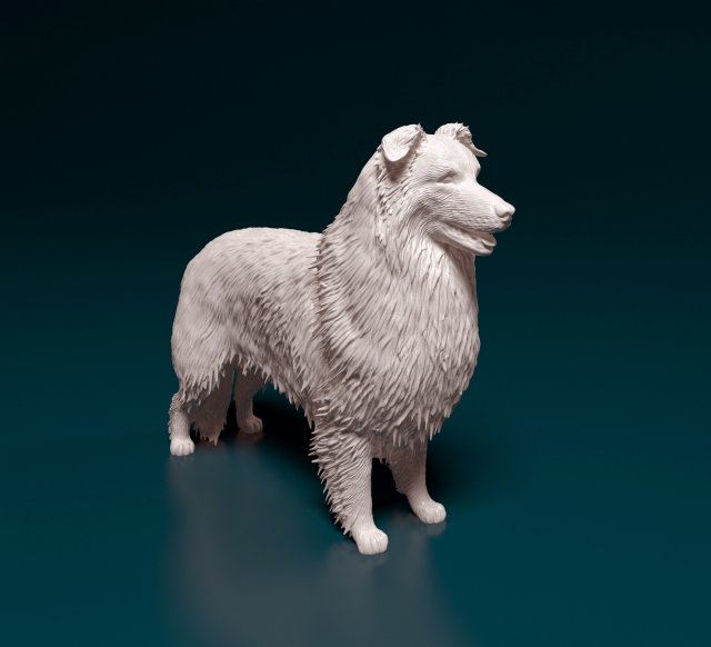 Collie 3D 프린트 모델 .c4d .max .obj .3ds .fbx .stl .blend 