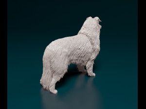 Collie 3D 프린트 모델