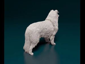 Collie 3D Print Model