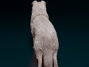 Collie 3D 프린트 모델