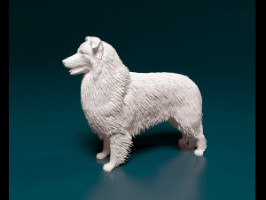 Collie 3D 프린트 모델