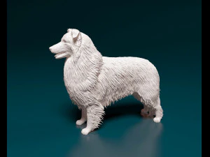 Collie 3D Print Model