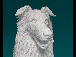 Collie 3D Print Model