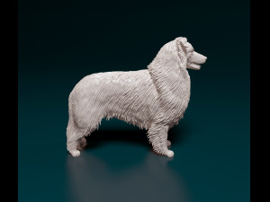 Collie 3D 프린트 모델