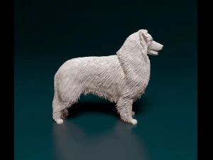 Collie 3D Print Model