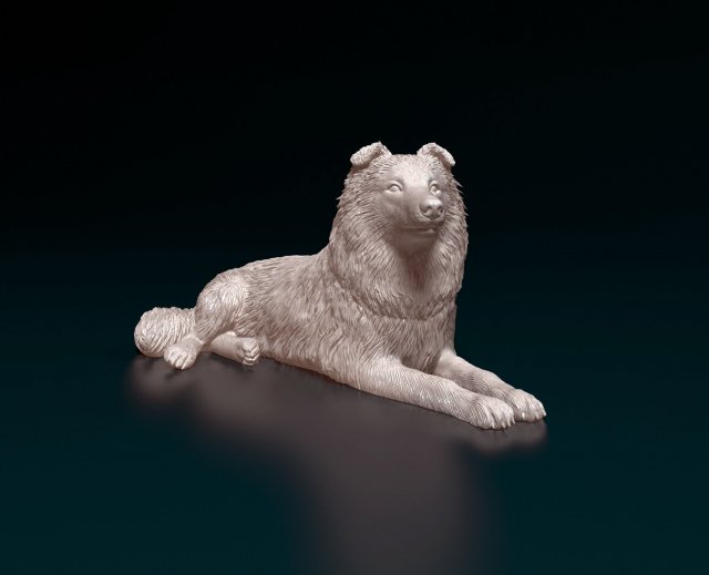 Collie lying down 3D 打印模型 .c4d .max .obj .3ds .fbx .stl .blend 