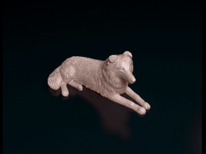 Collie lying down 3D 打印模型