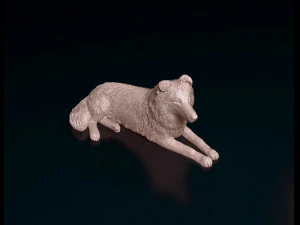 Collie lying down 3D Print Model