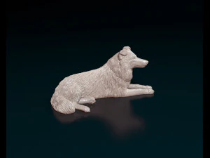 Collie lying down 3D Print Model