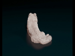 Collie lying down 3D 打印模型