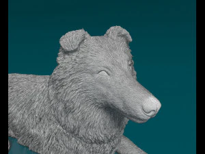 Collie lying down 3D Print Model