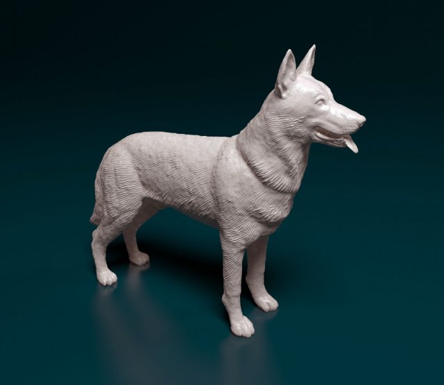 Czechoslovakian Wolf Modelo de Impressão 3D .c4d .max .obj .3ds .fbx .stl .blend 