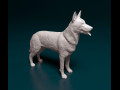Czechoslovakian Wolf 3D प्रिंट मॉडल