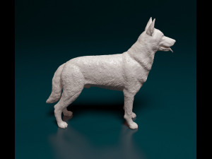 Czechoslovakian Wolf Modelo de Impressão 3D