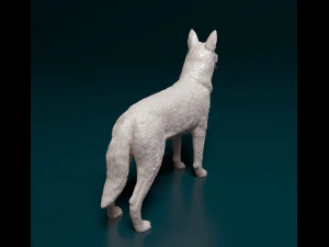 Czechoslovakian Wolf 3D Print Model