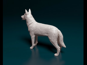 Czechoslovakian Wolf Modelo de Impressão 3D