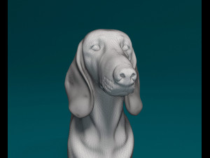 Dachshund 3D Print Model