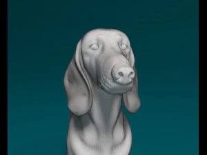 Dachshund 3D Print Model
