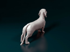 Dachshund 3D Print Model