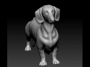 Dachshund 3D Print Model