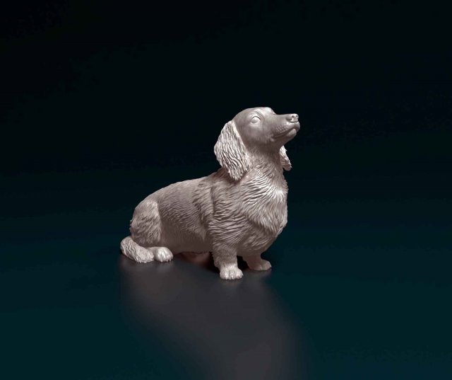 Dachshund long haired Modelo de Impressão 3D .c4d .max .obj .3ds .fbx .stl .blend 