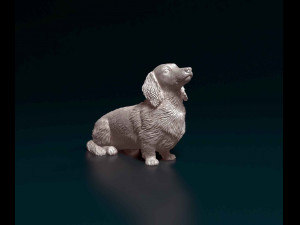 Dachshund long haired 3D-Druckmodell