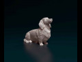 Dachshund long haired 3D प्रिंट मॉडल