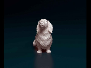Dachshund long haired Modelo de Impressão 3D