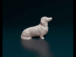 Dachshund long haired Modelo de Impressão 3D