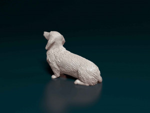 Dachshund long haired Modelo de Impressão 3D