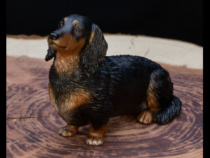 Dachshund long haired Modelo de Impressão 3D