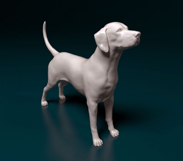 Dalmatian dog 3D 프린트 모델 .c4d .max .obj .3ds .fbx .stl .blend