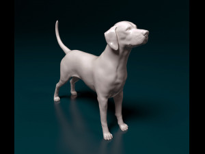 Dalmatian dog 3D Print Model