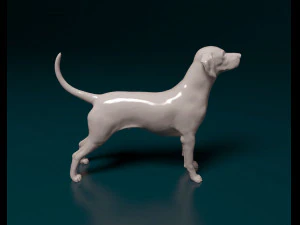 Dalmatian dog 3D Print Model