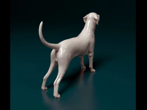 Dalmatian dog 3D Print Model