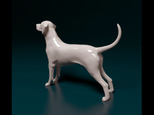 Dalmatian dog 3D 프린트 모델