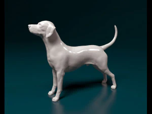 Dalmatian dog 3D Print Model