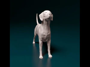 Dalmatian dog 3D Print Model