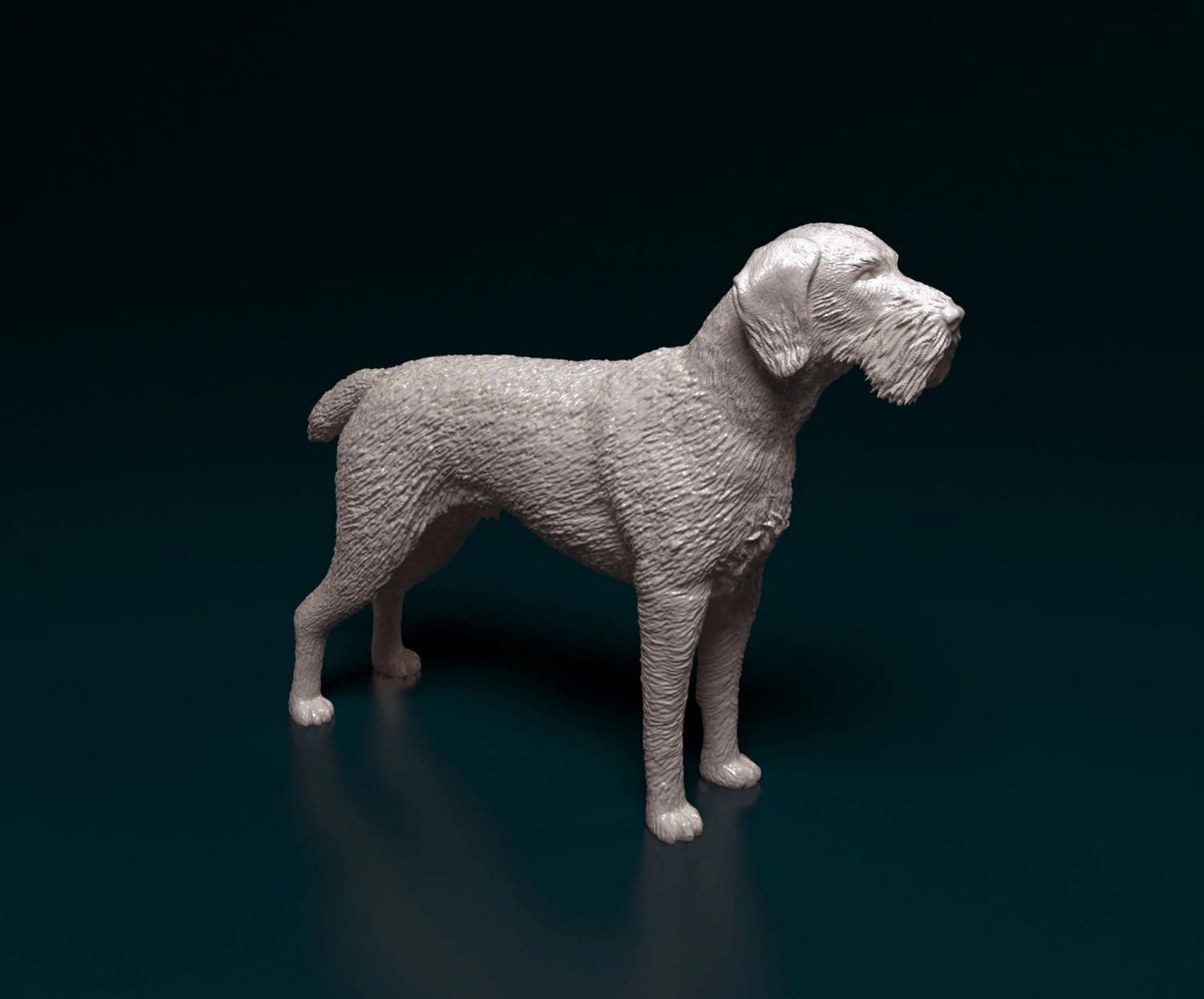 Deutsch Drahthaar 3D Print Model .c4d .max .obj .3ds .fbx .stl .blend 