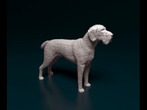 Deutsch Drahthaar Modelo de Impressão 3D