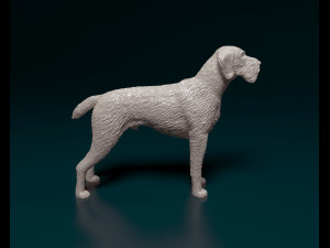 Deutsch Drahthaar 3Dプリントモデル