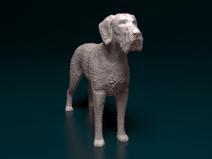 Deutsch Drahthaar 3Dプリントモデル