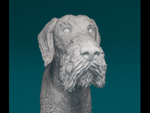Deutsch Drahthaar 3Dプリントモデル
