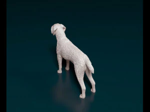 Deutsch Drahthaar 3D Print Model