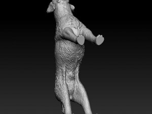 Deutsch Drahthaar 3Dプリントモデル