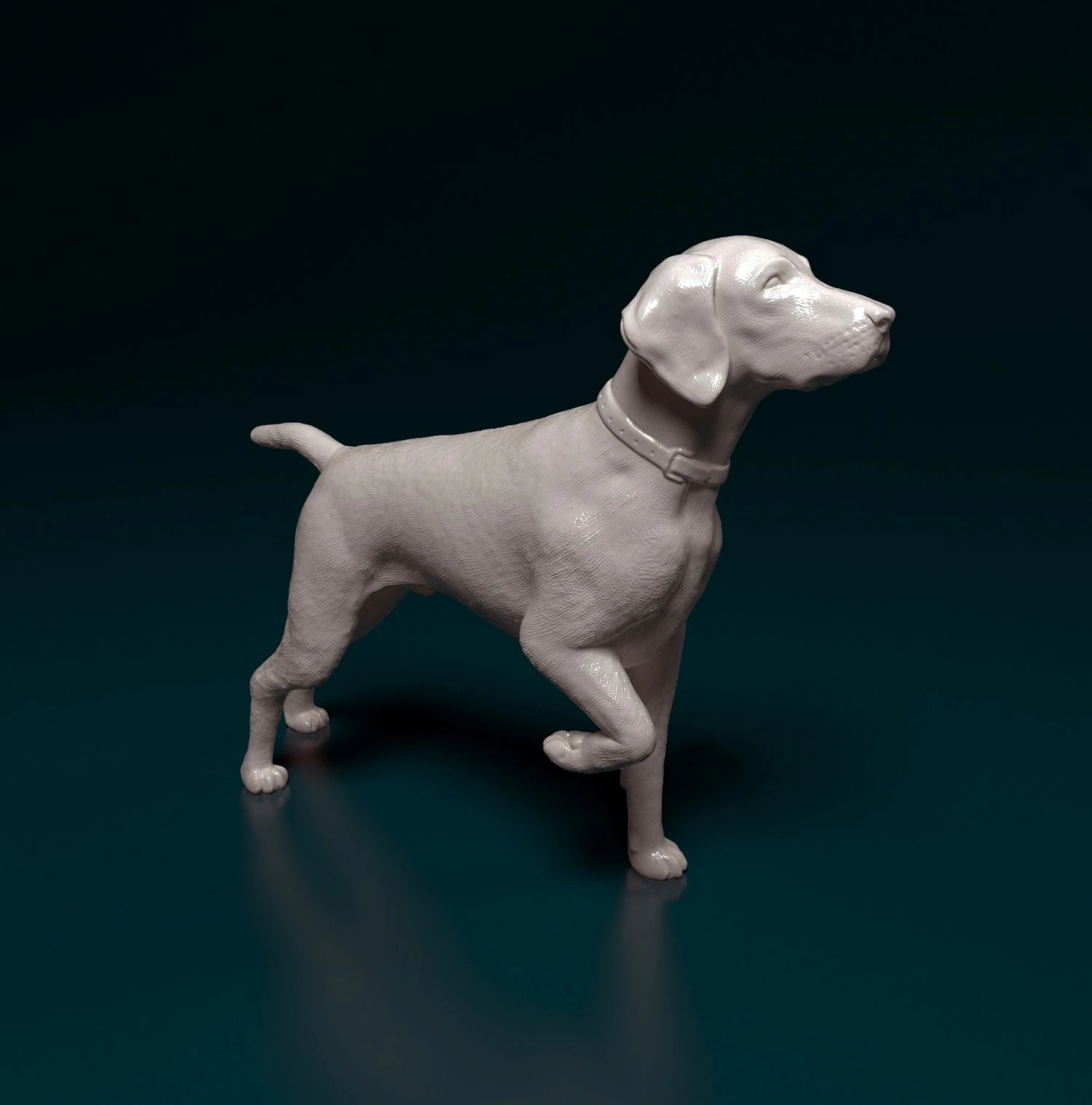Deutsch Kurzhaar 3D Print Model .c4d .max .obj .3ds .fbx .stl .blend 